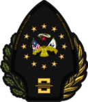 New California Republic Rangers (NCRA)