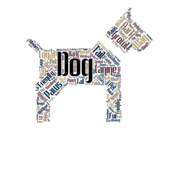 DOG CITY