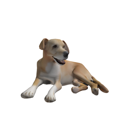 Cachorro Caramelo thumbnail