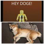 Sussy Doge army