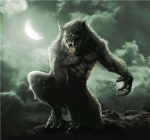 KILLER LYCANS