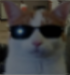 swag!!!! swag swag