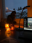 LUC1DD