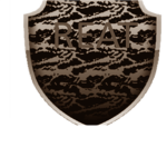 The Roblox Elite Assualt Team
