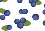 Blueberry Squaddd <3