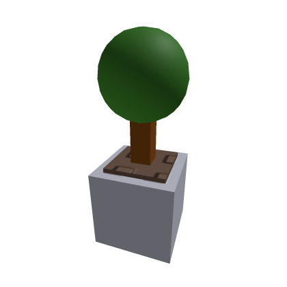 Little tree office plant