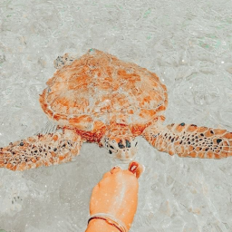 ✰ .°