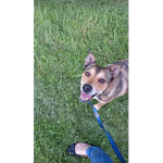 #benson