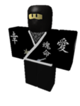 The Gold/Black Ninjas