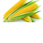 The Corn Crime Family