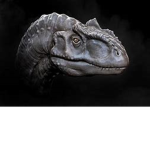 the lizard Express