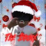 NYC: The Bronx V2 [BACK!]