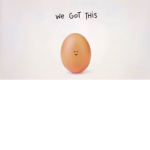 EGG NATION (eggs only)