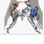 BLACK Shadow Karate!