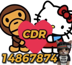 ʚ CDR ɞ