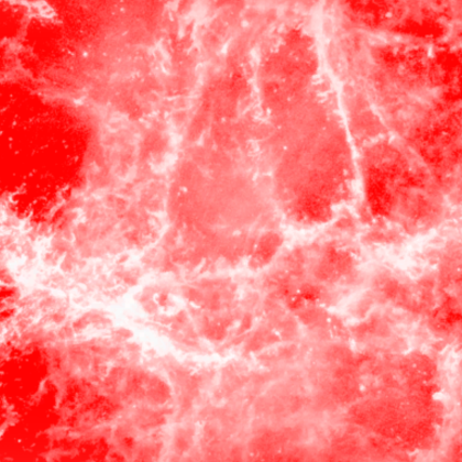 Red White Marble Background
