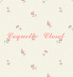 Coquette closet