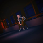+equestrian mustang shadows+