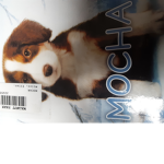 Miasia