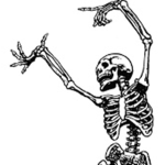 polytraveller’s skeletons