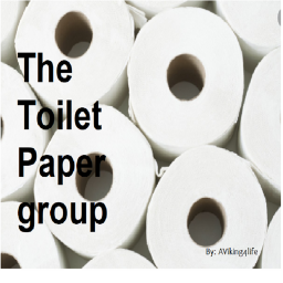 Toilet Paper Fort