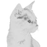 Silver KAT Games