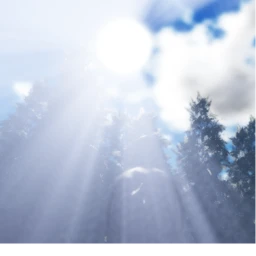 nature. icon