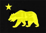 California Roblox Players