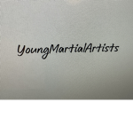 Young martial artists