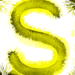 SolarBeam Studios™