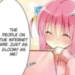 ᐡ ᐧ ﻌ ᐧ ᐡ