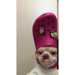 HOLA NINOSSSSSSSPPPSSSSSSSSSSSS