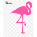 Flamingo Fans XD LOL