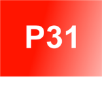 Project 31 Skateboarding
