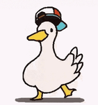QUACKS in the kitchen