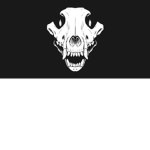 RPG (Roleplaying Group)