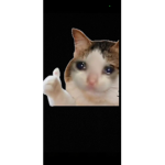B B P