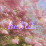 ho$tile