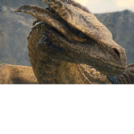 the dragon gruop