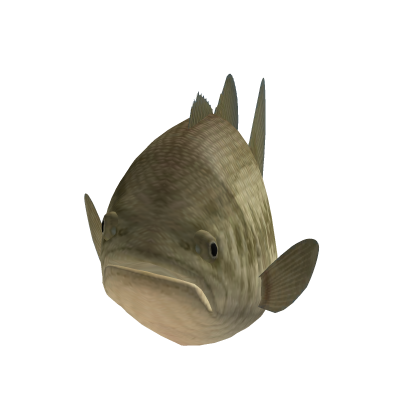 BIG Fish