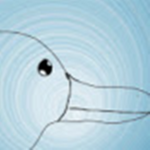 Duck Ranch