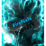 FireNxN