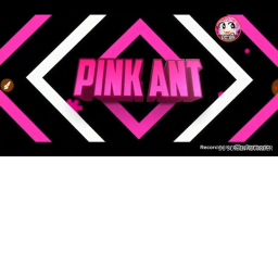 PinkAunt Fan Club!'s