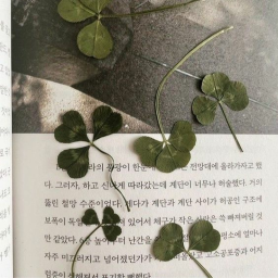 ୨ৎ