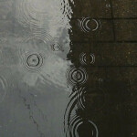 ❀ ⋆ ୨⊹୧ ‧˚.