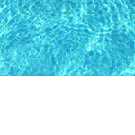 Thebotgroup