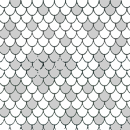 Transparent Fish Scale Texture Roblox decal