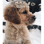 -MAX'S CLOSET-