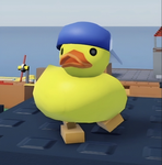 ducks in action