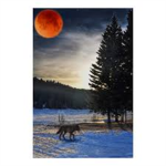 The wolves of the BloodLake Pack